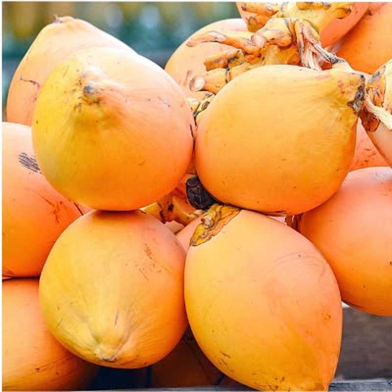 King Coconut